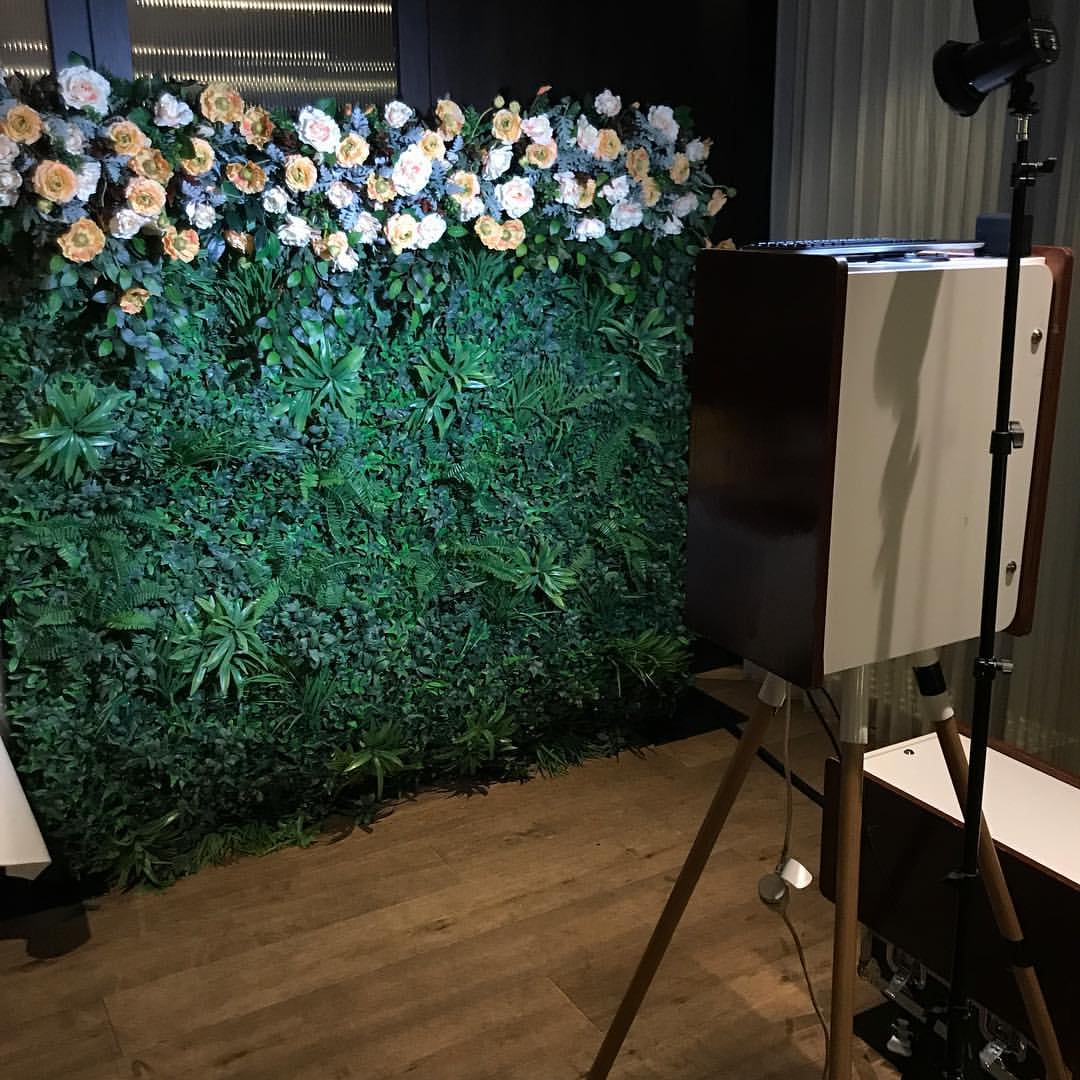 Flower Walls For Hire Sydney Flower Backdrop Hire Sydney